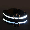 Nylon LED Night Safety Flashing Glow in the Dark Dog Leash Dogs Luminous Fluorescent Pet Dog Collar